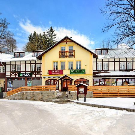 Hotel Erika Špindlerŭv Mlýn Ngoại thất bức ảnh