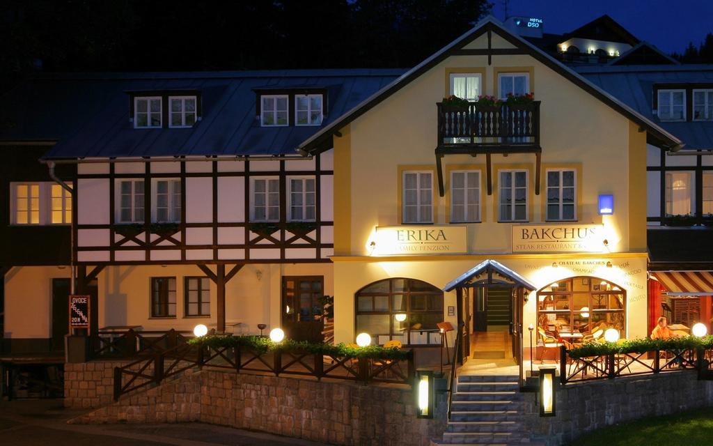 Hotel Erika Špindlerŭv Mlýn Ngoại thất bức ảnh